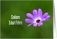 Salam Idul Fitri card