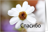 спасибо Thank you in Russian card