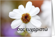 σας ευχαριστώ is Thank you in Greek card