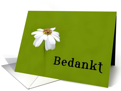 Bedankt means Thank You in Dutch White Daisy card (845083)