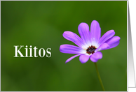 Kiitos means Thank You in Finnish - Purple Daisy card