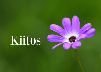 Kiitos means Thank...