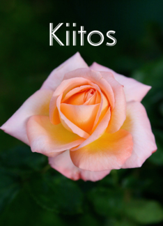 Kiitos means Thank...