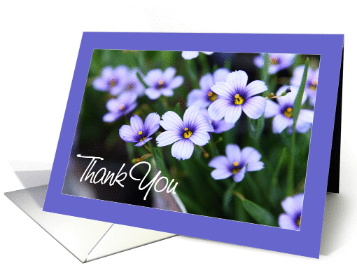 Thank you for your business - Purple flowers card (854410)