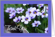 Thank you for your business - Purple flowers card
