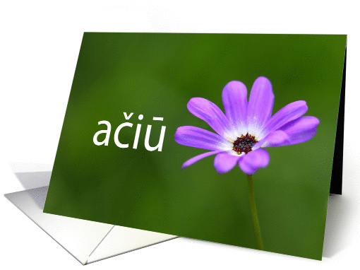Thank you in Slovenian ai Purple Daisy card (855212)