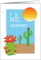 Hello from New Mexico with Flowering Cactus Saguaros and Desert Sun card