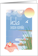Hola desde Espaa en Espaol con Conchas Marinas en la Playa con Sol card