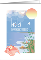 Hola desde Acapulco en Espaol con Conchas en La Playa con El Sol card