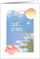 Ciao da Riviera Hello from Riviera con Conchiglie Sulla Spiaggia card