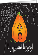 Halloween Orange Jack O’ Lantern with Bugs and Hisses Spider Web card