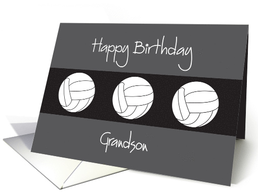 Birthday for Grandson with Trio of Volleyball Balls card (1170280)