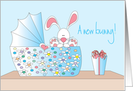 Congratulations on new Bunny, Bassinette with Bunny card