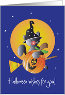 Halloween with Flying Black Kitty on Broom with Pumpkin card
