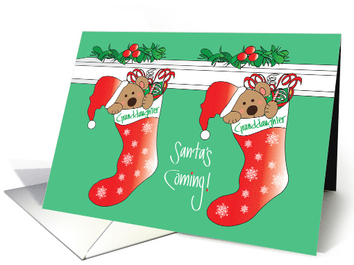 Christmas Twin Granddaughters, Santa's Coming Bear Stockings card