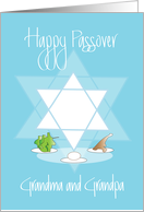 Passover for Grandparents, Star of David & Passover Foods card