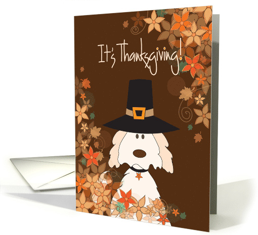 Thanksgiving Dog in Pilgrim Hat, Fall Leaves and Flower Border card
