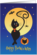 Halloween Boo to You with Black Cat and Jack O Lantern in Witch Hat card