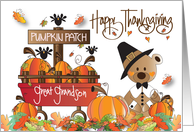 Thanksgiving Pilgrim Bear Great Grandson with Pumpkin Patch Pumpkins card