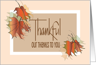 Thanksgiving from Realtor or Real Estate Office Fall Leaves Thankful card
