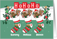 Ho Ho Ho Decorated Grandchildren Christmas Stockings with Custom Names card