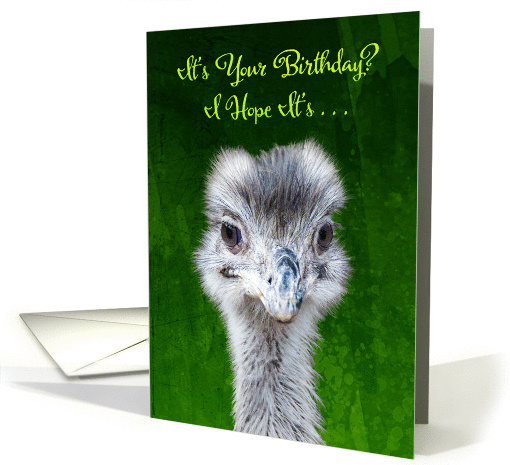 Have an Emusing Birthday - Emu Pun card (1392942)