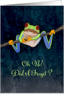 Red Eyed Tree Frog - Out on a Limb - Belated Birthday card