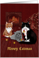 Jingle Bells Cats - Cat Christmas card