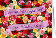 For my Wonderful Wife on Mothers Day Bed of Roses card