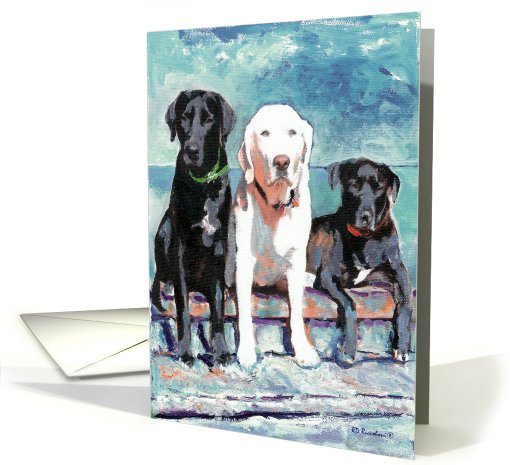 Three Labrador Retriever Dogs card (849708)