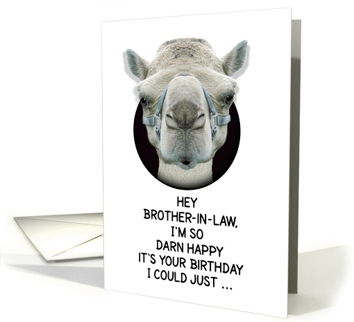 Happy Birthday Brother-in-Law Funny Camel card (1135632)