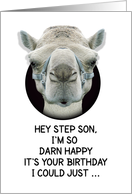 Happy Birthday Step Son Funny Camel card