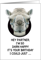 Happy Birthday Partner Funny Camel card
