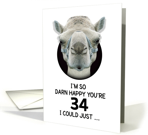 34th Birthday Happy Birthday Funny Camel Humorous Animal card