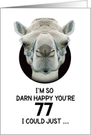 77th Birthday Happy Birthday Funny Camel Humorous Animal card