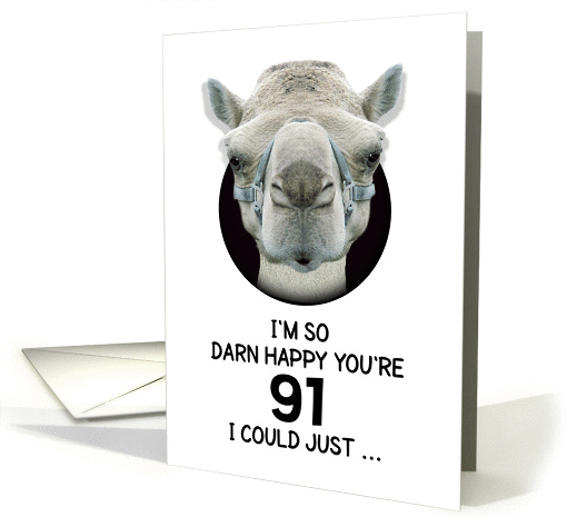 91st Birthday Happy Birthday Funny Camel Humorous Animal card