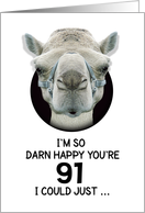 91st Birthday Happy Birthday Funny Camel Humorous Animal card