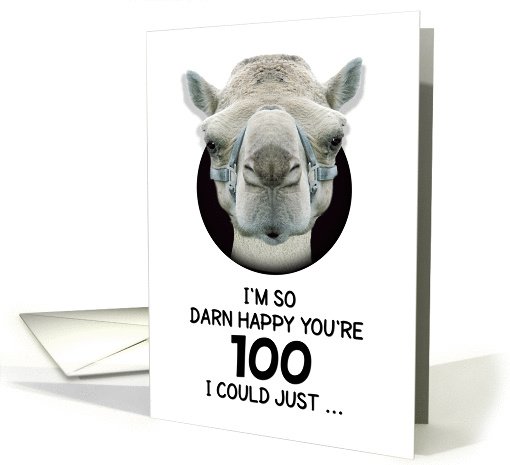 100th Birthday Happy Birthday Funny Camel Humorous Animal card