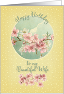 Happy Birthday to my Beautiful Wife Pretty Cherry Blossoms in Bloom card