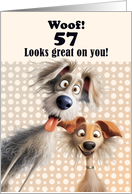 57th Birthday For Anyone Silly Dogs Humor card