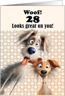 28th Birthday For Anyone Silly Dogs Humor card