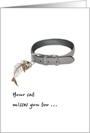 Anniversary of Loss of Pet Cat Pet Collar With Fish Bone Tag card