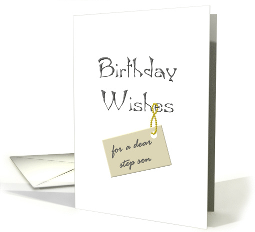 Birthday for Step Son Warm Wishes card (1042493)
