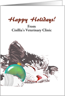 Happy holidays from veterinary clinic, sleeping kitten with bandaged paw card
