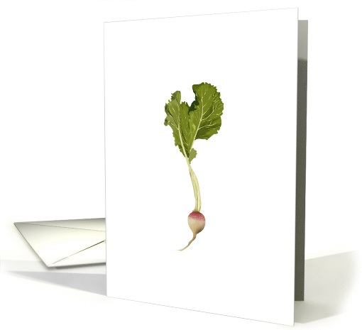 Sketch Of Turnip Blank card (1141694)