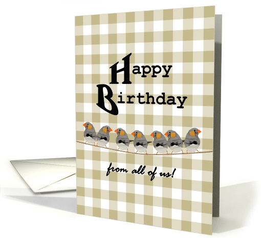 Birthday From All Of Us Cute Little Birds Standing In A Line card