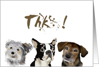 Thank you to dog trainer, just dogs! card