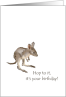 Baby Kangaroo Birthday Hop To It card