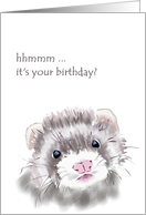 Birthday, inquisitive ferret card