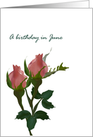 Birthday in June Rose Birth Month Flower Pink Rose Buds card